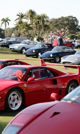 The final weekend to secure your Early Bird tickets | Cavallino