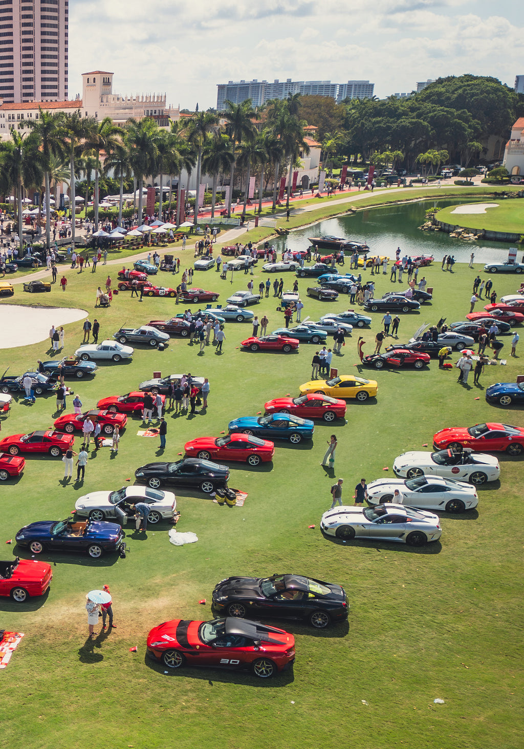 | Cavallino