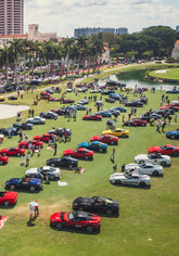 | Cavallino