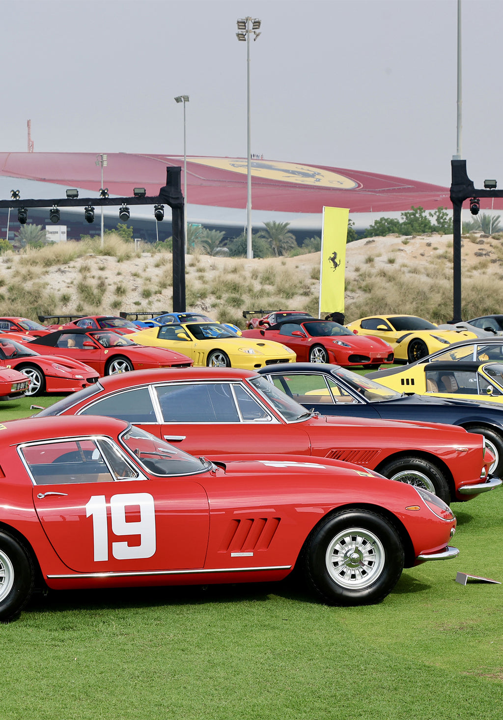 | Cavallino