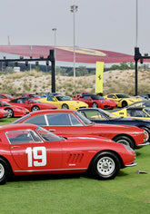| Cavallino