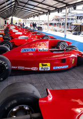 | Cavallino