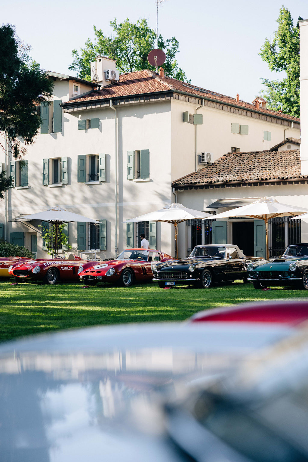 | Cavallino